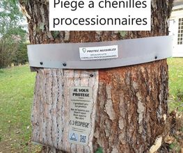 Protec Nuisibles image 12
