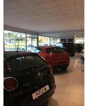 Gallery Cliente