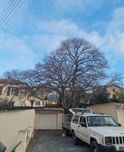 Au Gré Des Arbres image 10