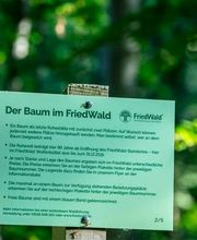 FriedWald Wolfenbüttel Bild 10