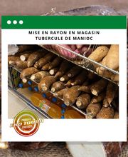 Exo Touba image 4