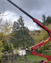 Garten- und Landschaftsbau Aliu Bild 6