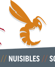 Punaises Nuisibles et Solutions image 14