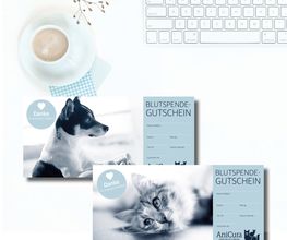 Werbeagentur concept your design Bild 17
