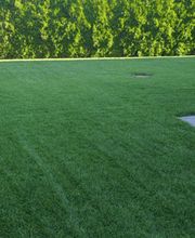 IdealFlora di Davide Gagliardini Bild 10