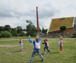 Jansens Apenkooi