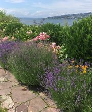 Gärtnerei Ziegler Samuel Bild 2