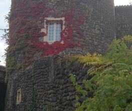 Château de Mauras image 4