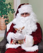 Pinetree Animal Hospital image 20
