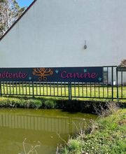 Détente Canine image 10