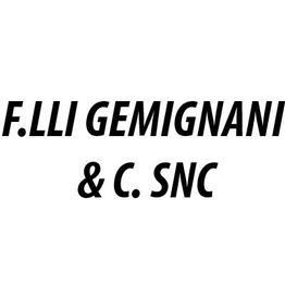 F.lli Gemignani & C. Snc logo