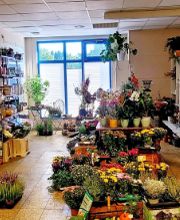 Flora-Eck Kliewe Bild 1