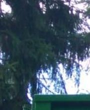 Bennes Du Val De Saône EURL image 1