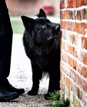 SH-Immo & partner Bild 9