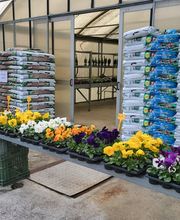 GIARDINI DOS SANTOS CANIÇO Bild 8