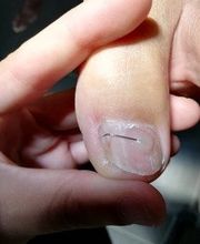 Hayot Anaïs image 3