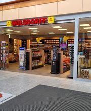 WOLSDORFF TOBACCO GmbH Bild 6