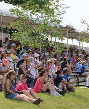 Silver Oak Jumper Tournament image 4