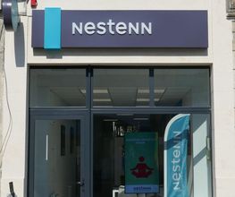 Nestenn image 2