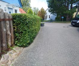 18c03ce8-b54c-4297-9549-6e6bbdcc311e-1_all_64475.jpg