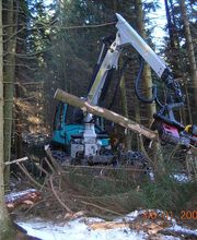 Eggenberger Forst AG Bild 3