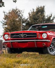 Mustang Oldtimer 1965