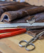 Gallery Professionale