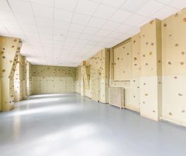 Institution Moreau image 14