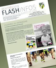 La coccinelle ZSW image 4