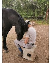 Ecole D'Equitation De Chazeron image 9