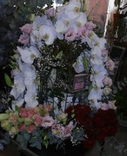 Florilege et harmonie image 8