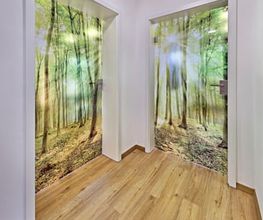 Regulative Heilkunde Bild 7