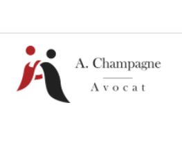 Champagne Anne image 5