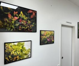 Cabinet Vétérinaire de Collonge-Bellerive Sàrl Bild 13