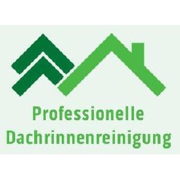 Professionelle Dachrinnenreinigung Vogt