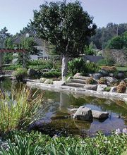 Viveiros Adoa, S.L. (Tameiga) imagen 2