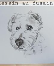 Artist'O Chien image 1