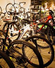 Cannondale 1