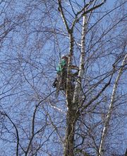 SAS ALBAN BEZELIN image 2