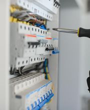 Ale Manitas imagen 2