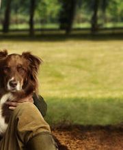 Luginbühl Tiernahrung GmbH