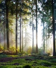 achtsam bestatten GmbH – vormals Sandro Lüthi Bild 6