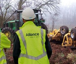 ALLIANCE Forêts Bois image 3