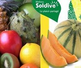 SOLDIVE SCA image 2
