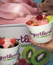 Yogurtland Alameda image 10