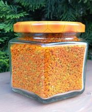 ApiZUG Bio srl immagine 5