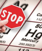 Naturheilkunde Matthias Dreier Bild 10