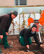 JUNG Garten- und Landschaftsbau GmbH & Co.KG Bild 3