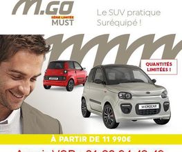 Voiture Sans Permis image 12