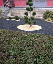 Winterstein Christophe image 1